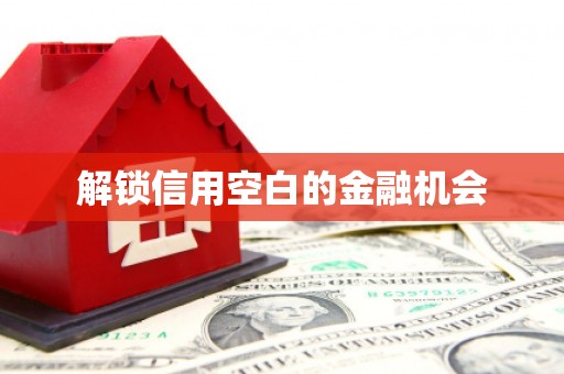 秀山解锁信用空白的金融机会