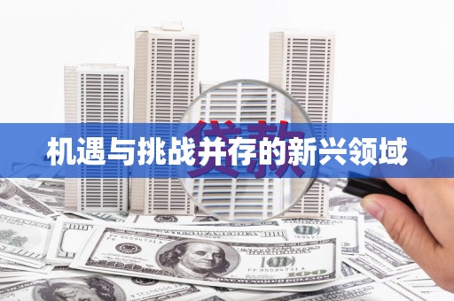 秀山机遇与挑战并存的新兴领域