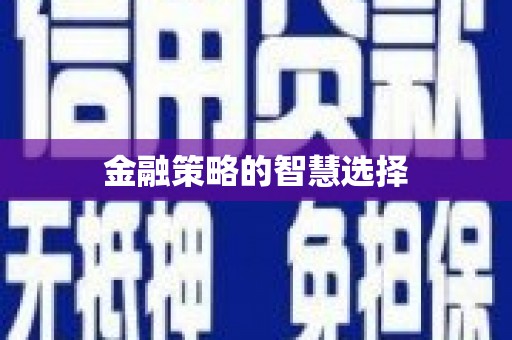 秀山金融策略的智慧选择