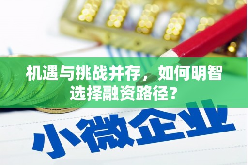 秀山机遇与挑战并存，如何明智选择融资路径？