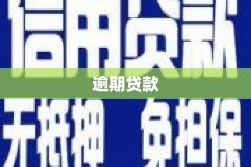 秀山逾期贷款