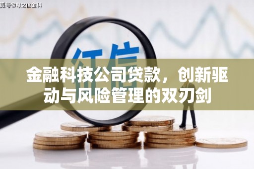 秀山金融科技公司贷款，创新驱动与风险管理的双刃剑